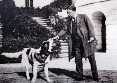 Which president had pets that included a small bear named Jonathan Edwards, a lizard named Bill, guinea pigs named Admiral Dewey, Dr. Johnson, Bishop Doane, Fighting Bob Evans, and Father O'Grady, a pig name Maude, and Josiah the badger?